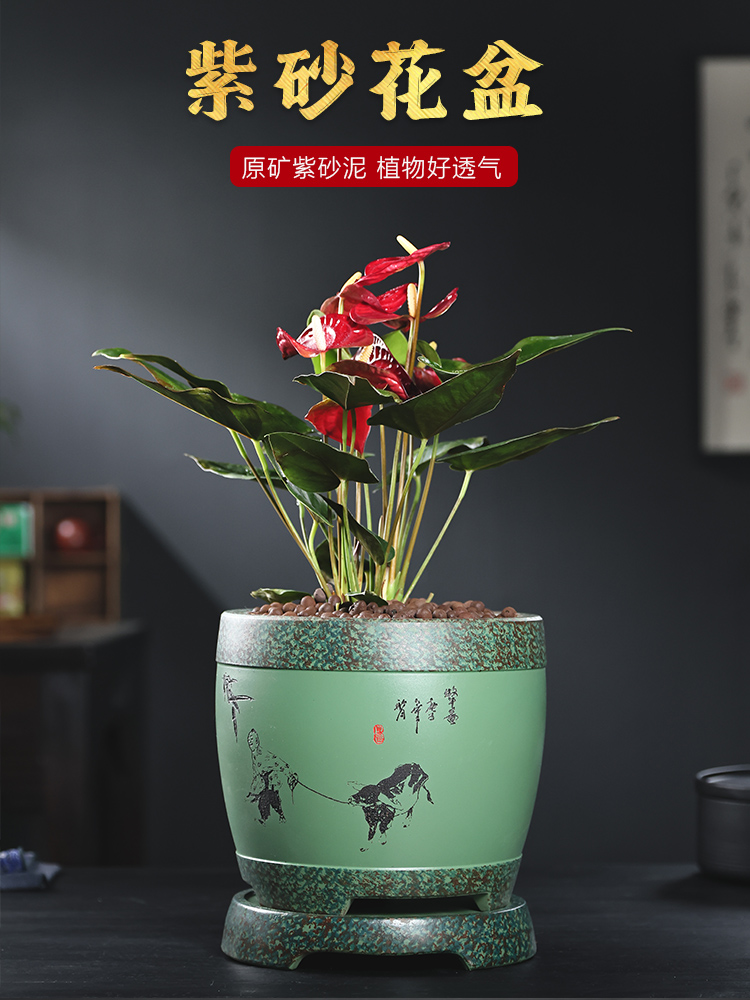 精品紫砂花盆网红款花卉绿植盆景兰花盆君子兰盆阳台仿古室内桌面