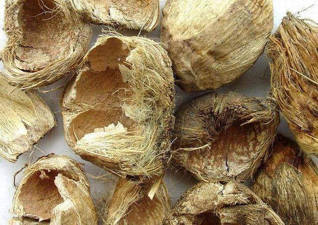 大腹皮中药材伏毛枣儿槟壳皮槟榔壳大腹毛槟榔衣大腹绒大夫皮500g