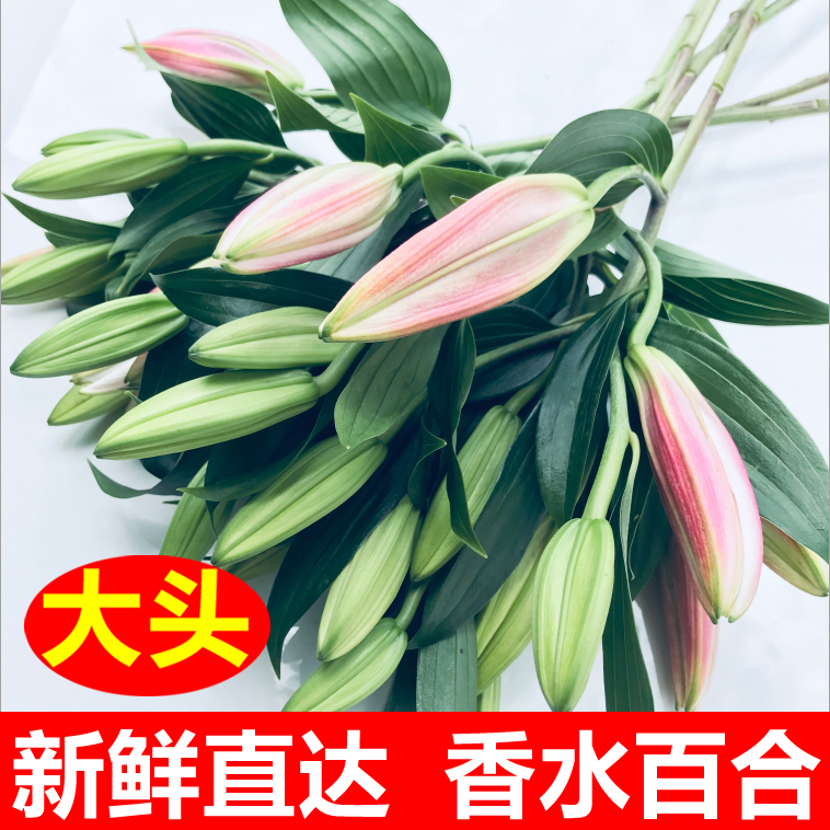 鲜花云南昆明基地直发玫瑰花束速递同城生日礼物香水百合花妇女节