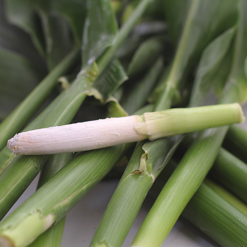 东北特产速冻高粱乌米新鲜蔬菜个大肉嫩口感佳净重500g产地直销