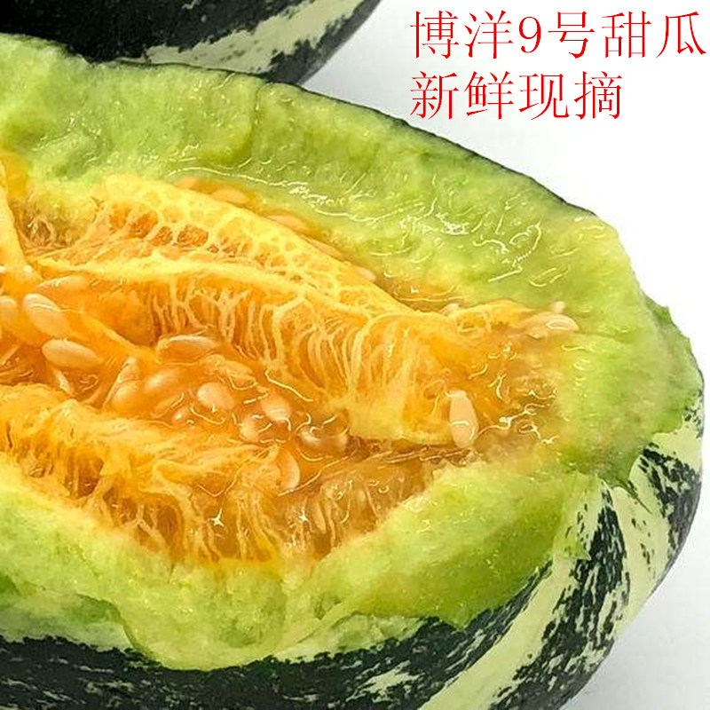 博洋甜瓜老面瓜香瓜潍坊冰糖子甜瓜老年人低糖水果新鲜5斤包邮在类目 水产肉类/新鲜蔬果/熟食, 新鲜水果, 其它中 - 来自Buy2taobao.com提供专业的淘宝代购服务