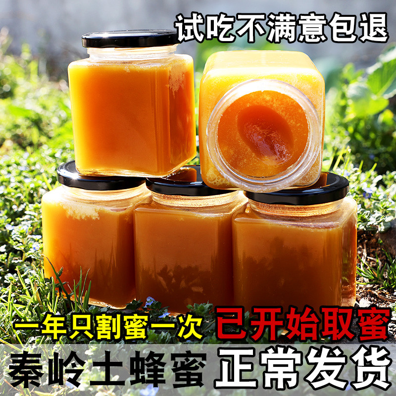 秦岭蜂蜜纯正土蜂蜜天然农家野生蜜源