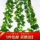 仿真绿萝藤条假植物栏杆空调管道装饰藤蔓塑料手感过胶假绿萝叶藤