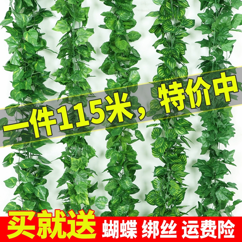 绿萝葡萄树叶子绿叶假花塑料藤蔓植物吊顶绿植墙面装饰花藤条缠绕