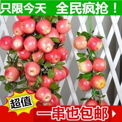 仿真蔬菜水果串葡萄假玉米藤条假辣椒挂件饭店幼儿园圣诞节装饰品