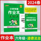 2024春版pass绿卡小学学霸作业本六年级下册道德与法治全彩手绘6年级下基础知识手册讲解全解读六下达标试卷单元期中末课时练辅导