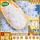 绿宝贡【超划算】现磨现发煮饭软糯长粒香大米猫牙米20斤优质大米
