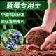 蓝莓专用土专用营养土专用肥料中国农大研发漫生活专利营养土