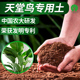 天堂鸟专用土专用营养土专用肥料中国农大研发漫生活专利营养土