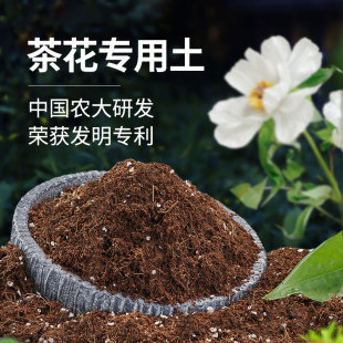 茶花专用土茶花土茶花专用营养土茶花盆栽专用土肥料专用肥漫生活