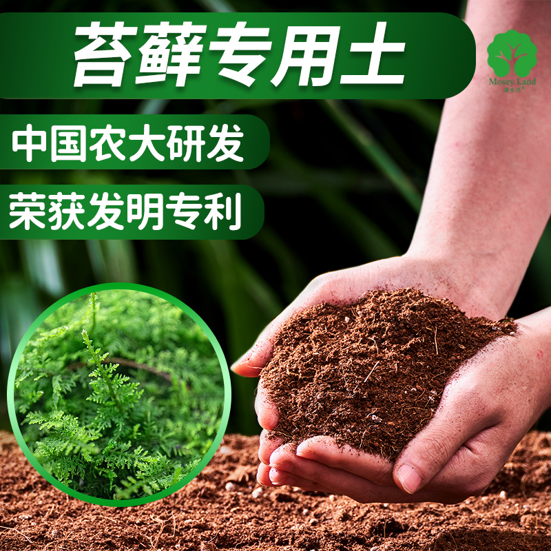 苔藓专用土专用营养土专用肥料中国农