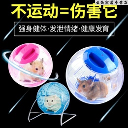 仓鼠跑球玩具滚球跑道球金丝熊水晶用品小透明跑步球跑轮运动支架