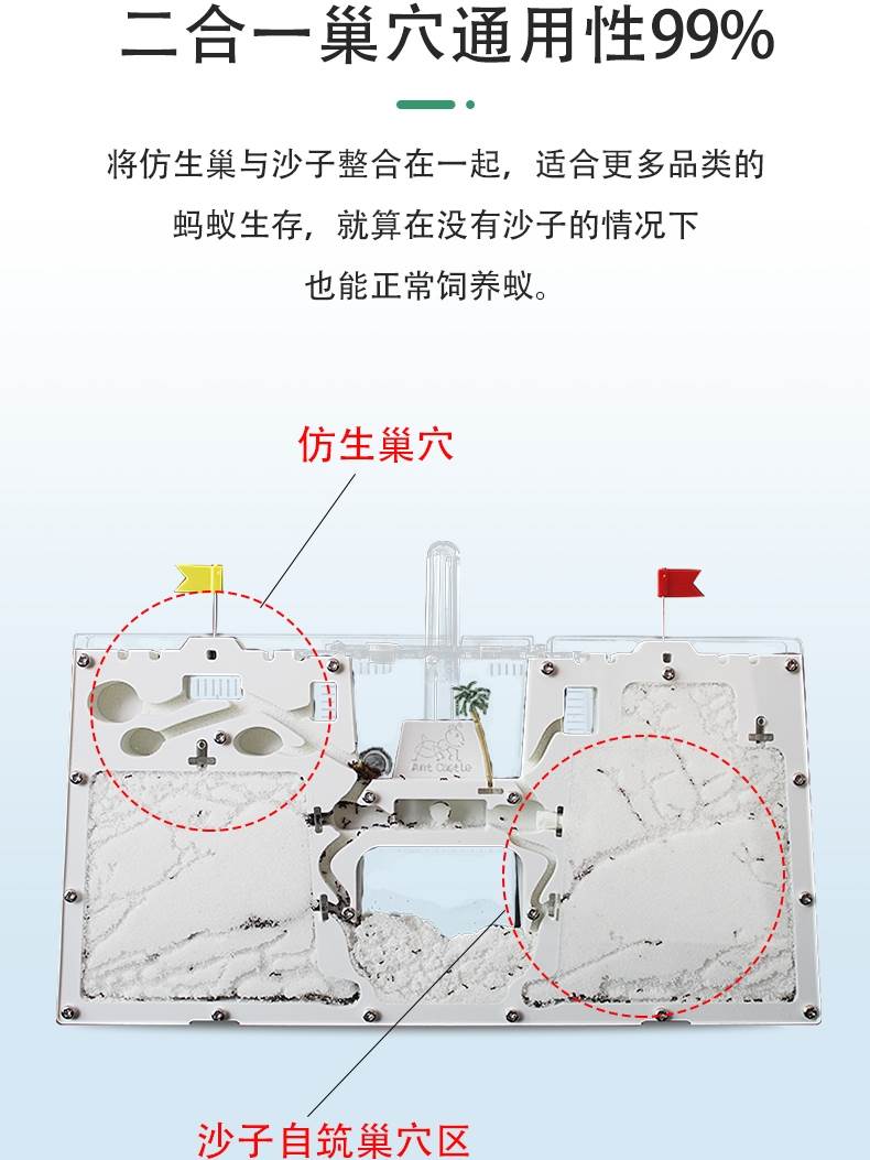 双城堡免装版蚂蚁工坊屋窝巢房家园庄园送蚁后沙大型生态箱小宠