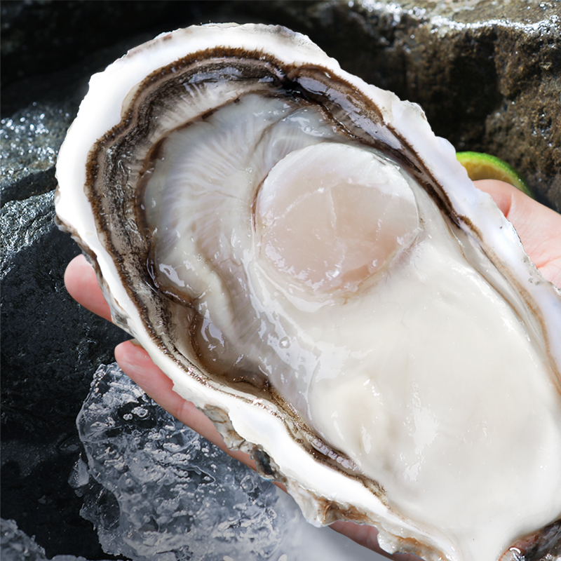 乳山生蚝鲜活免洗10斤超大牡蛎海鲜水产新鲜海蛎子特大蚝包邮6xl