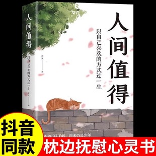 人间值得正版书以自己喜欢的方式过一生人生愿你遍历山河仍觉人间值得正能量青春成长不烦恼初高中人生哲学心理学治愈方法励志书籍