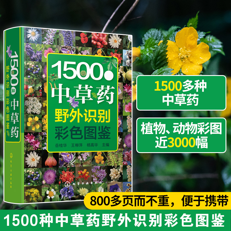 正版 1500种中草药野外识别彩色