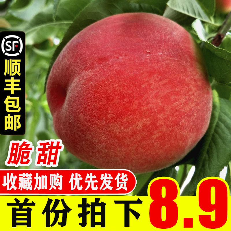 桃子水蜜桃5斤 现摘当季孕妇水果水