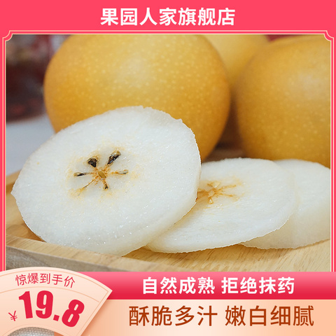 果园人家秋月梨冰糖梨山东莱阳梨子10应季当季新鲜水果整箱5斤