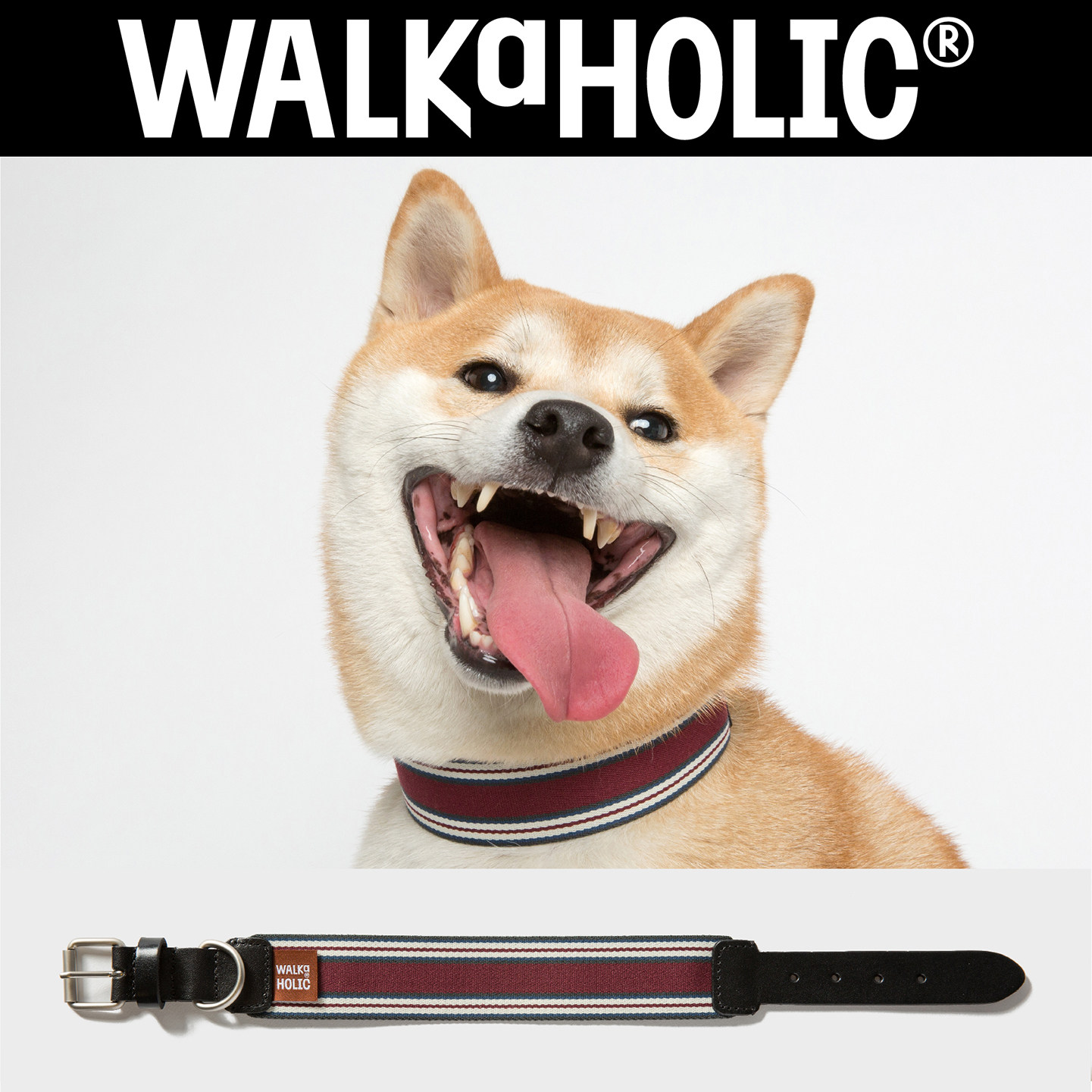 柴犬限定*walkaholic宠物项圈狗狗脖套颈圈超宽中大型犬真皮进口