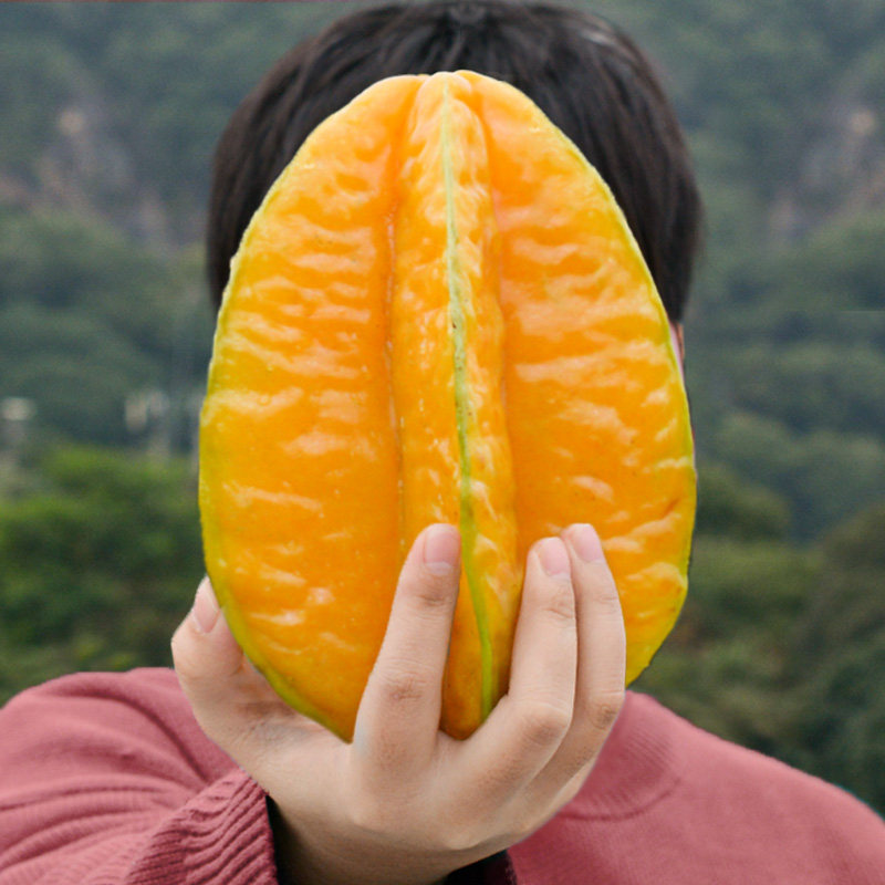 8空运海南三亚大杨桃10斤新鲜热带水果整箱五角星洋阳扬桃红包邮5已售