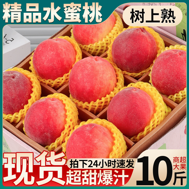 现货特大果水蜜桃10斤桃子新鲜水果