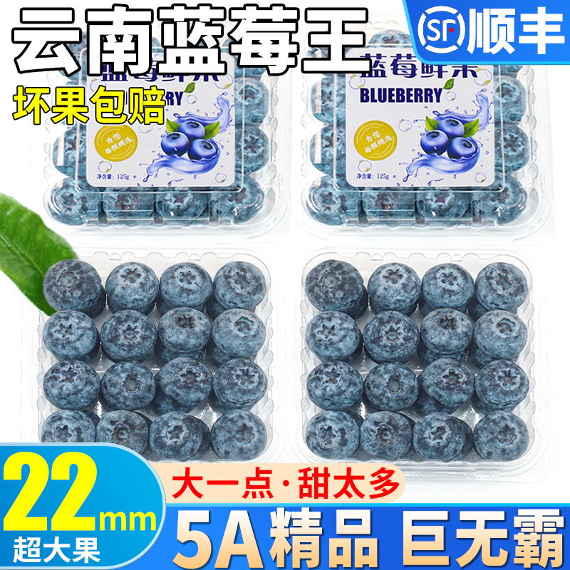 顺丰现货 10盒云南蓝莓鲜果新鲜水
