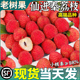 顺丰礼盒正宗仙进奉荔枝现摘现发水果10斤白糖鲜果当季整箱包邮桂