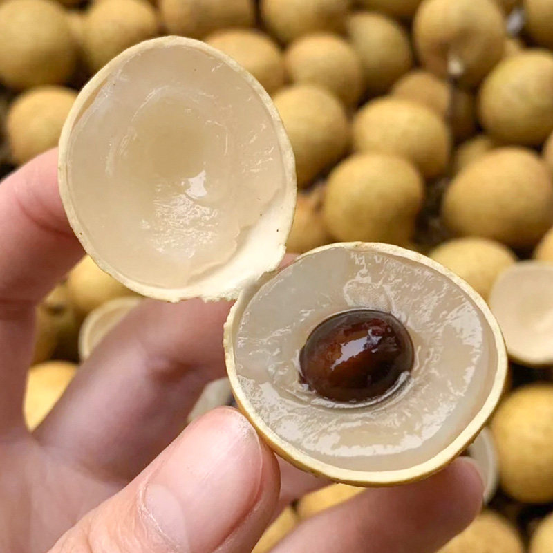 顺丰大果5斤老树龙眼新鲜现摘时令石硖储良水果桂圆现货包邮