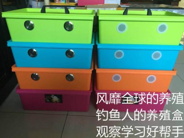 蚯蚓養殖箱蚯蚓堆肥箱防逃家用養蚯蚓專用箱養蚯蚓的桶特大飼養箱在類目 鮮花速遞/花卉仿真/綠植園藝, 園藝用品, 家庭園藝肥料/營養土/營養液中 - 來自Buy2taobao.com提供專業的淘寶代購服務