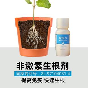 定根水缓苗生根液花卉扦插绿植物盆栽蔬菜壮苗水培多肉快速催芽剂