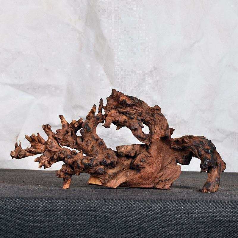 沉木树型鱼缸内装饰品小摆件枯木造景成品杜鹃根骨架生命之树小型