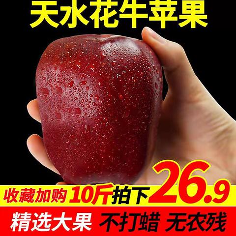 甘肃天水花牛苹果大果蛇果带箱10斤红粉现摘当季特产一级新鲜水果