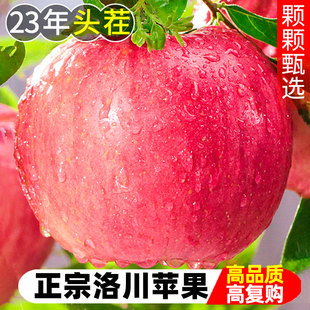 正宗陕西洛川苹果10斤新鲜水果整箱包邮当季冰糖心红富士平安果