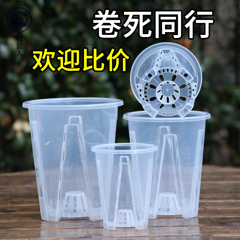 牧狼人透明青山控根盆兰花水苔蝴蝶兰专用花盆塑料透气镂空大号盆