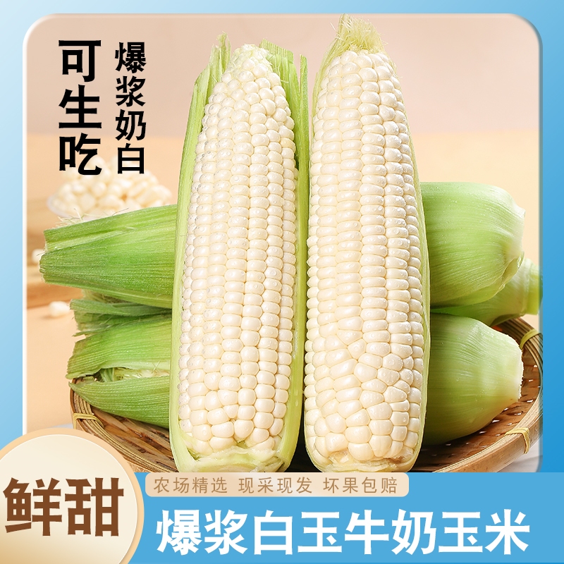 漳州爆浆水果玉米牛奶甜玉米开袋即食