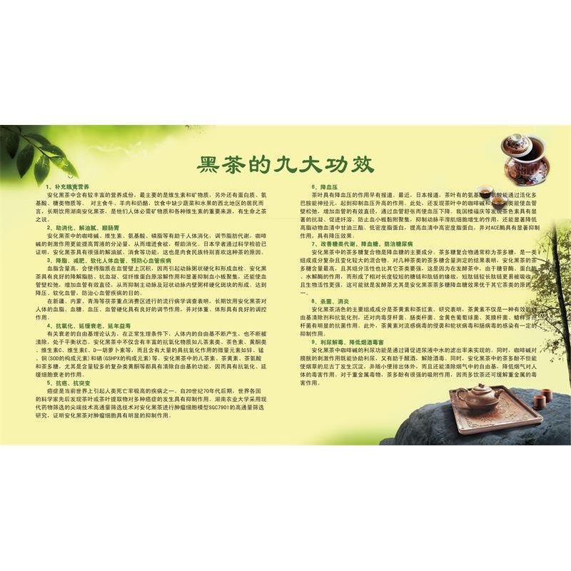 黑茶的九大功效海报展板安化黑茶 世界茶王亲情华莱安化黑茶挂图