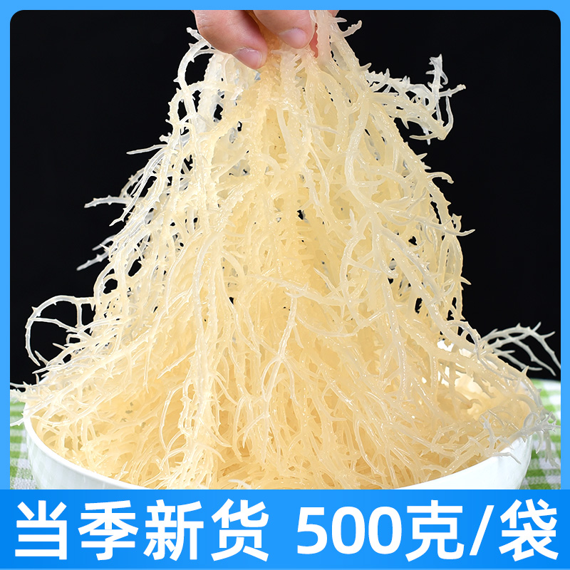 龙须菜500克石花菜海石花海草海藻