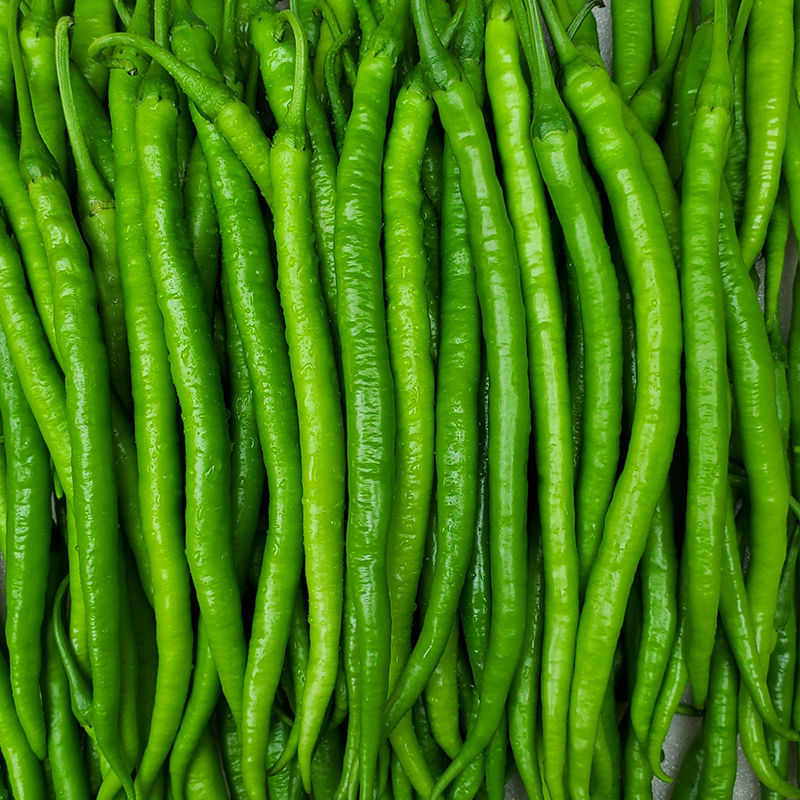 顺丰包邮新鲜线椒青辣椒5斤青椒农家自种新鲜蔬菜二荆条青椒