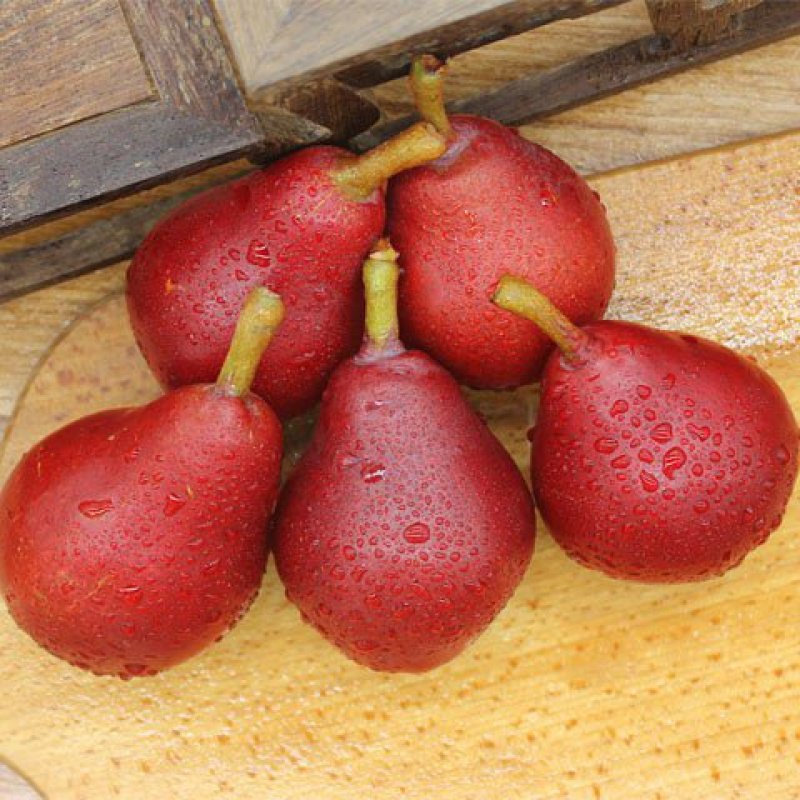 红啤梨放软甜糯香甜红皮梨红梨软梨5斤整箱包邮新鲜水果