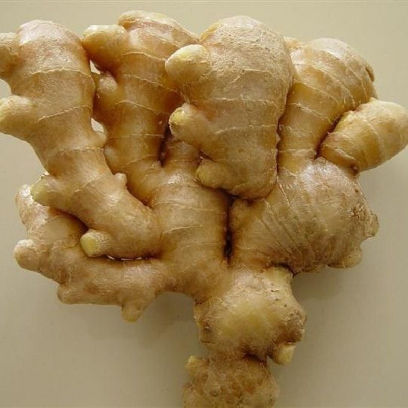 山东大姜新鲜生姜块老姜月子专用姜生姜新鲜带泥土大姜现卖5斤