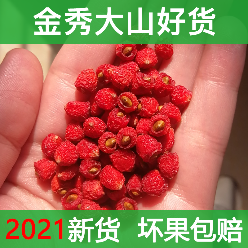红豆杉果子果实干货干含紫杉泡水南方红杉树果正品广西中药材500g