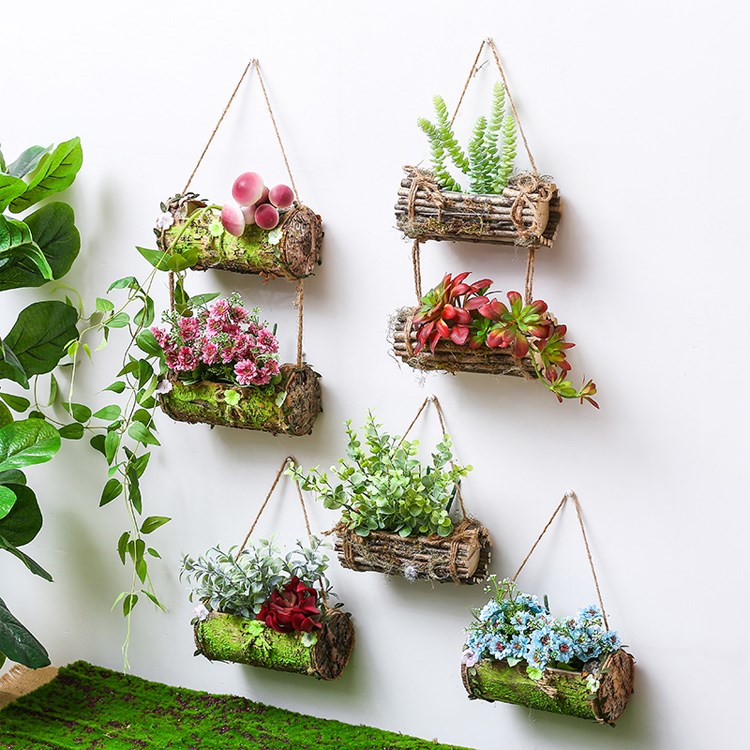 植物角幼儿园自然角环创布置材料装饰墙贴教室走廊墙面班级文化墙