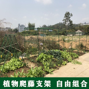 爬藤架种菜架子园艺花架花园阳台花爬架植物豆角黄瓜架葡萄架户外