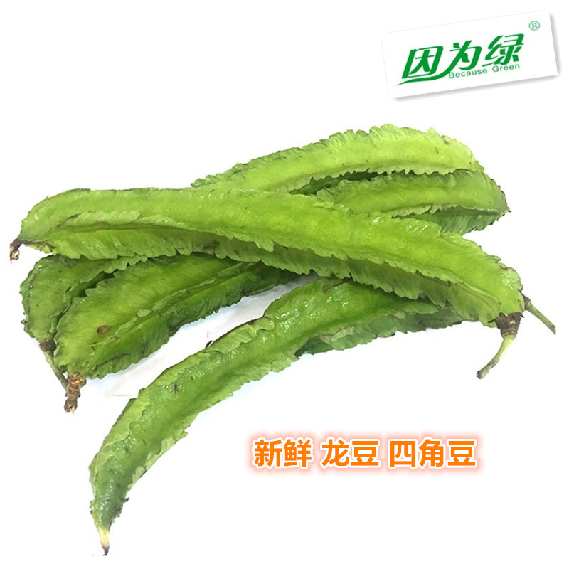 龙豆新鲜 新鲜蔬菜 四角豆 四棱豆 500g 约5小包 江浙沪皖5件包邮