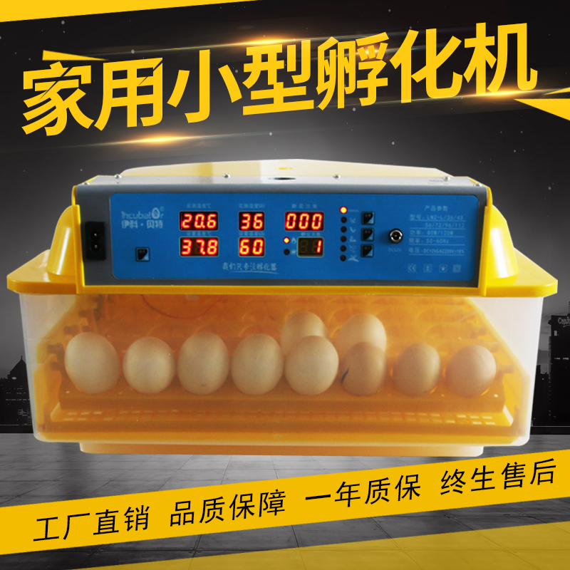 全自动滚轴家用智能小型孵化器