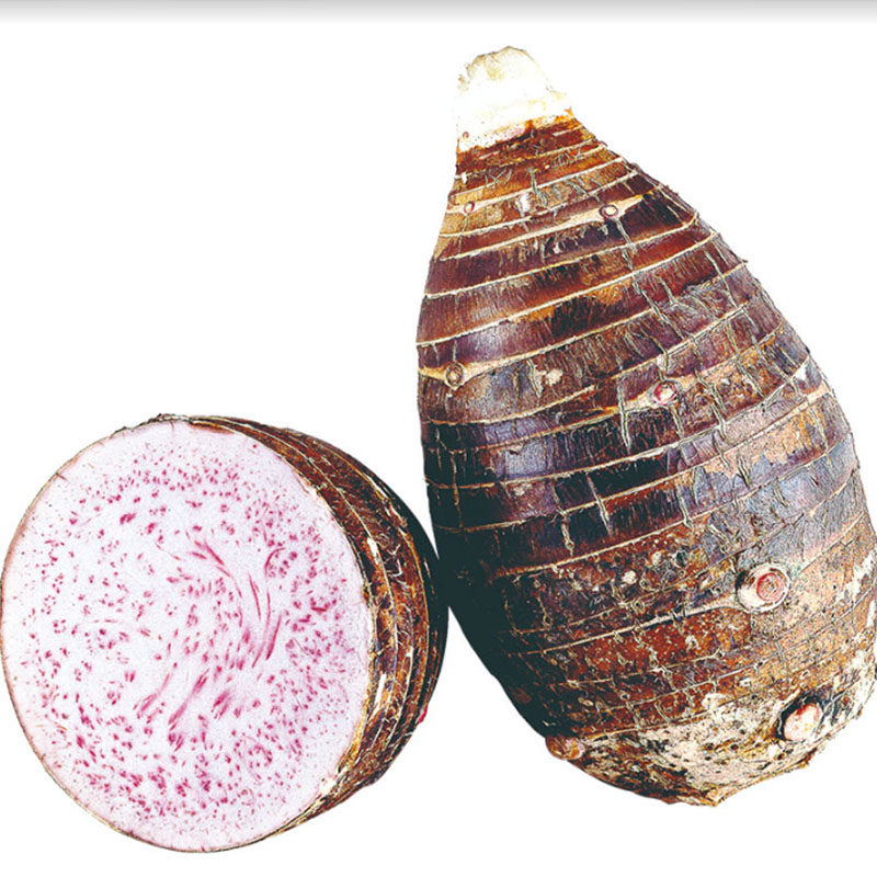 果益膳旗舰店的优惠券大全—广西荔浦大芋头芋当季新鲜紫藤农家粉糯