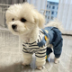 狗狗衣服春夏薄款四脚衣可牵引泰迪比熊雪纳瑞小型幼犬宠物防掉毛