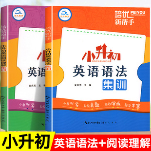 小升初英语语法专项训练题小学英语法知识大全 3-6年级系统总复习六年级阅读理解专项强化训练题册人教版练习教材辅导小升初必刷题