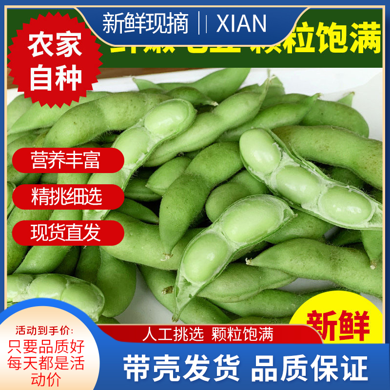 毛豆新鲜现摘嫩毛豆带壳豆荚商用农家自种应季蔬菜青豆5斤冷链|ruв категории водной мясо/свежие фрукты и овощи/еда, свежие овощи/овощной продукции, свежие овощи, 新鲜豇豆 - от Buy2taobao.com для оказания профессиональной услуги покупки агента Taobao