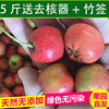2021早熟棉球山楂鲜果鲜山楂水果现摘特级山楂山里红果糖葫芦专用 2021早熟棉球山楂鲜果鲜山楂水果现摘特级山楂山里红果糖葫芦专用